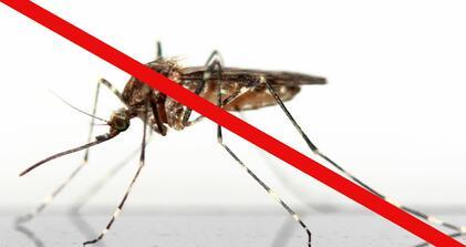 Tájékoztatás földi szúnyoggyérítésről 