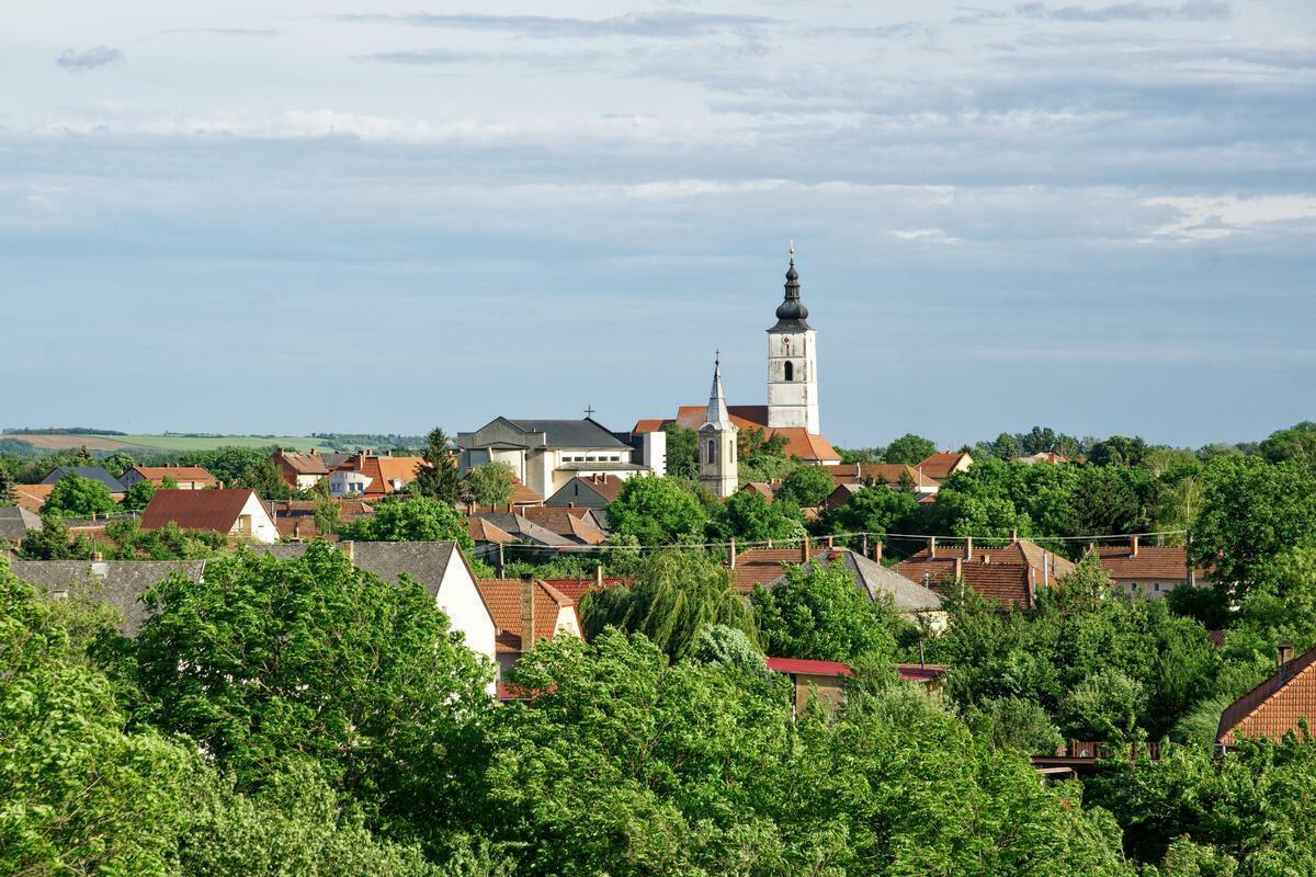 Képviselő-testület ülése március 20. napján (csütörtökön) 16:30 óra - Szikszói Közös Önkormányzati Hivatal Képviselő-testület ülése március 20. napján (csütörtökön) 16:30 óra - Szikszói Közös Önkormányzati Hivatal