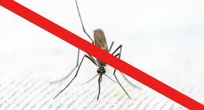 Tájékoztató: földi szúnyoggyérítésről