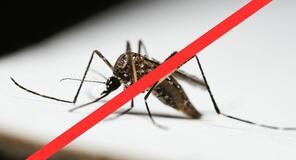 Tájékoztató: földi szúnyoggyérítésről