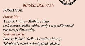 Borász délután 