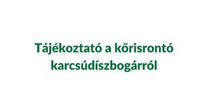 Tájékoztató a kőrisrontó karcsúdíszbogárról