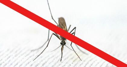 Tájékoztató: földi szúnyoggyérítésről
