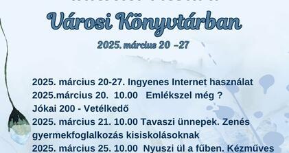 Internet Fiesta a Városi Könyvtárban