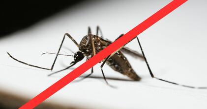 Tájékoztató: földi szúnyoggyérítésről