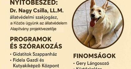 Aida napja és Nyílt nap