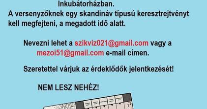 Keresztrejtvényfejtő verseny az Inkubátorházban