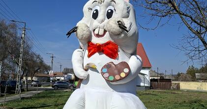 Megérkezett egy újabb nyuszi Szikszóra