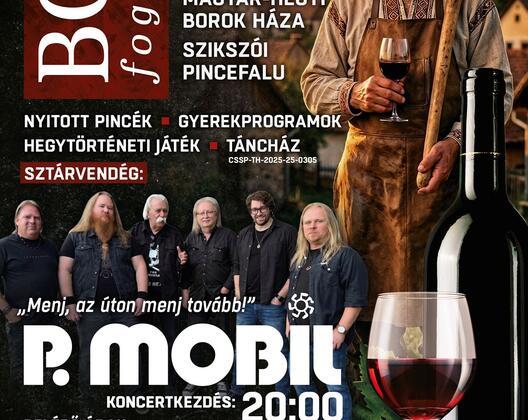 V. Szikszói Bor fogadás